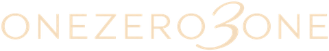 onezero3one